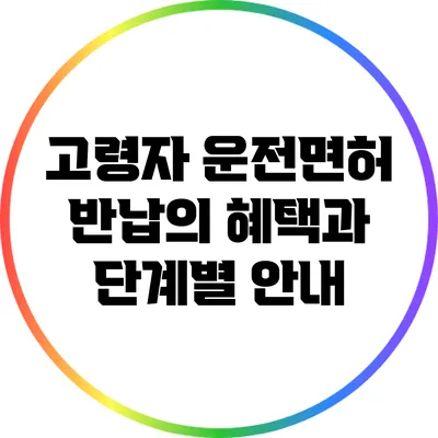 고령자 운전면허 반납의 혜택과 단계별 안내