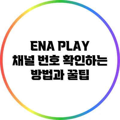 ENA PLAY 채널 번호 확인하는 방법과 꿀팁