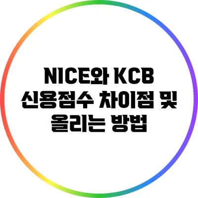 NICE와 KCB 신용점수 차이점 및 올리는 방법