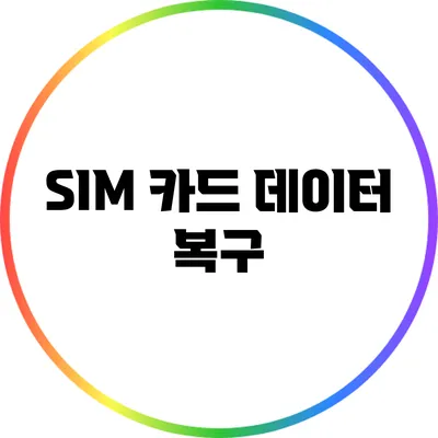 SIM 카드 데이터 복구