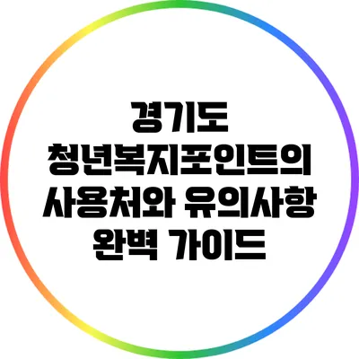 경기도 청년복지포인트의 사용처와 유의사항 완벽 가이드