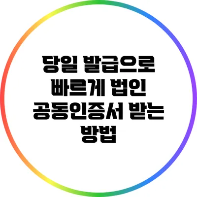 당일 발급으로 빠르게 법인 공동인증서 받는 방법