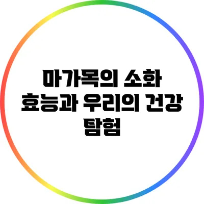 마가목의 소화 효능과 우리의 건강 탐험