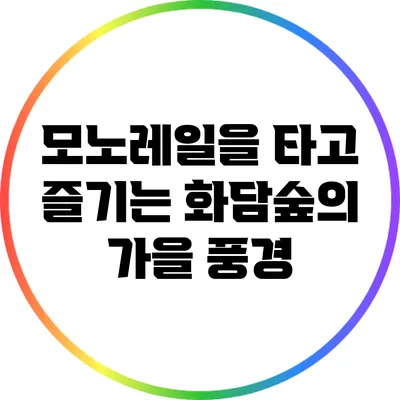 모노레일을 타고 즐기는 화담숲의 가을 풍경