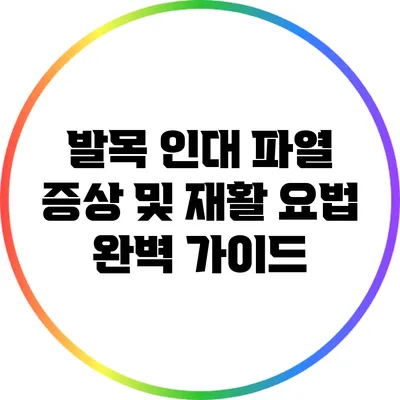 발목 인대 파열: 증상 및 재활 요법 완벽 가이드