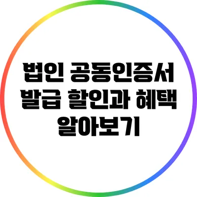 법인 공동인증서 발급 할인과 혜택 알아보기