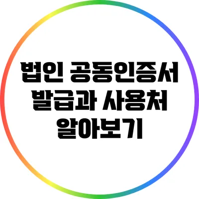 법인 공동인증서 발급과 사용처 알아보기