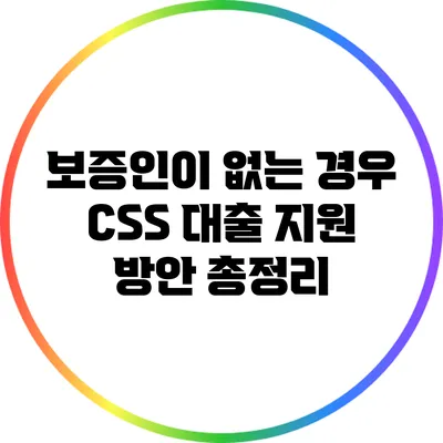 보증인이 없는 경우 CSS 대출 지원 방안 총정리