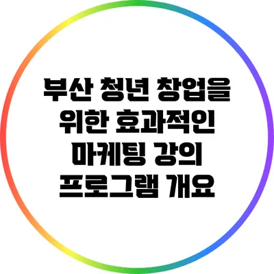 부산 청년 창업을 위한 효과적인 마케팅 강의 프로그램 개요