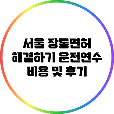 서울 장롱면허 해결하기: 운전연수 비용 및 후기