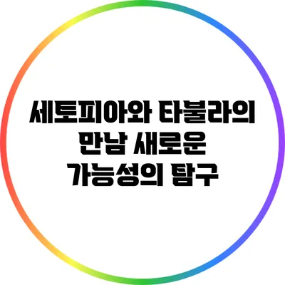 세토피아와 타불라의 만남: 새로운 가능성의 탐구