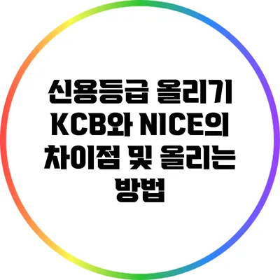 신용등급 올리기: KCB와 NICE의 차이점 및 올리는 방법