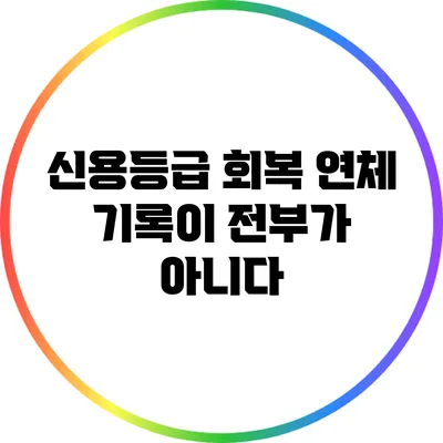신용등급 회복: 연체 기록이 전부가 아니다