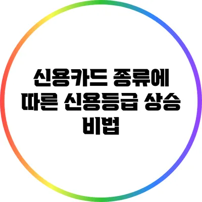 신용카드 종류에 따른 신용등급 상승 비법