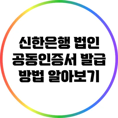 신한은행 법인 공동인증서 발급 방법 알아보기