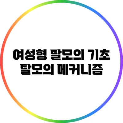 여성형 탈모의 기초: 탈모의 메커니즘