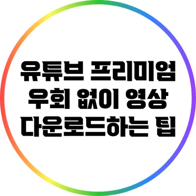 유튜브 프리미엄 우회 없이 영상 다운로드하는 팁