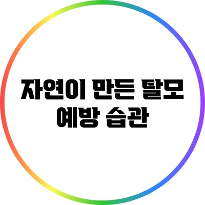 자연이 만든 탈모 예방 습관