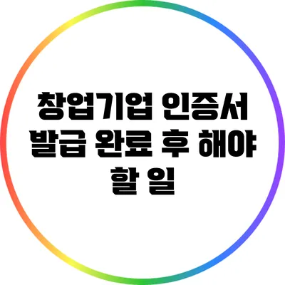 창업기업 인증서 발급 완료 후 해야 할 일