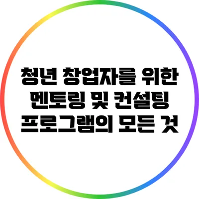 청년 창업자를 위한 멘토링 및 컨설팅 프로그램의 모든 것