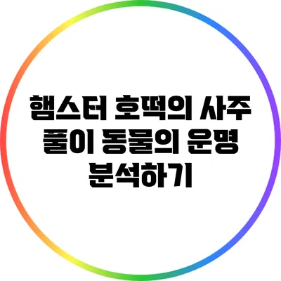 햄스터 호떡의 사주 풀이: 동물의 운명 분석하기