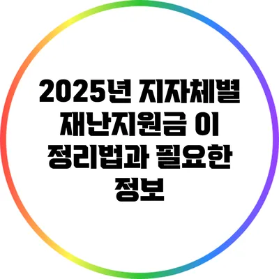 2025년 지자체별 재난지원금 이 정리법과 필요한 정보