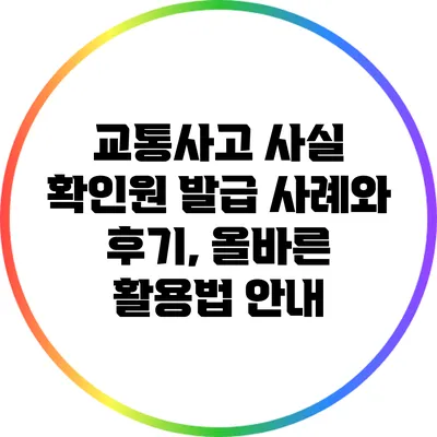 교통사고 사실 확인원 발급 사례와 후기, 올바른 활용법 안내