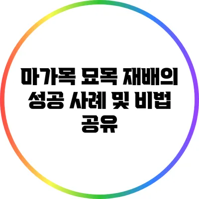 마가목 묘목 재배의 성공 사례 및 비법 공유