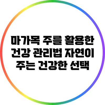 마가목 주를 활용한 건강 관리법: 자연이 주는 건강한 선택