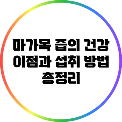 마가목 즙의 건강 이점과 섭취 방법 총정리