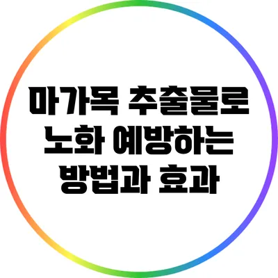 마가목 추출물로 노화 예방하는 방법과 효과