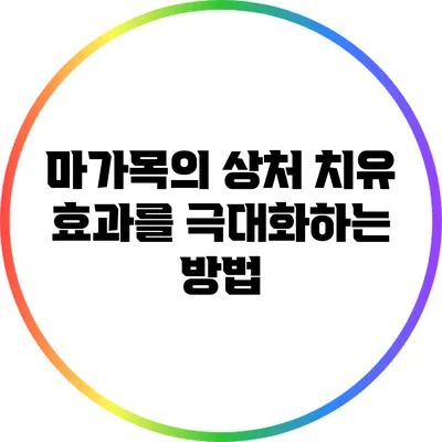 마가목의 상처 치유 효과를 극대화하는 방법