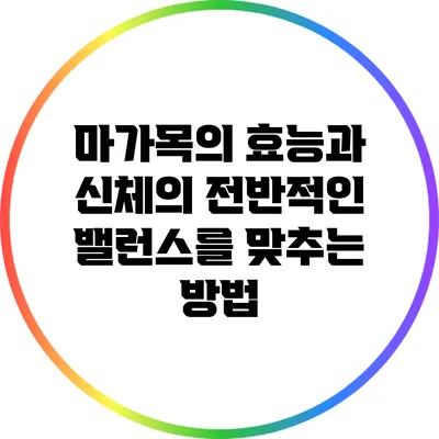 마가목의 효능과 신체의 전반적인 밸런스를 맞추는 방법