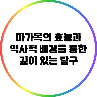 마가목의 효능과 역사적 배경을 통한 깊이 있는 탐구