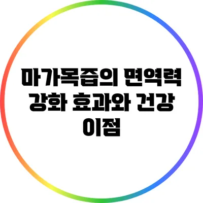 마가목즙의 면역력 강화 효과와 건강 이점