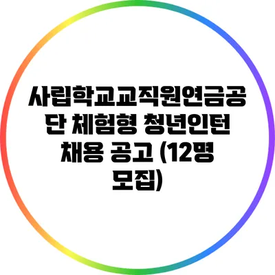 사립학교교직원연금공단 체험형 청년인턴 채용 공고 (12명 모집)