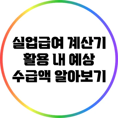실업급여 계산기 활용: 내 예상 수급액 알아보기