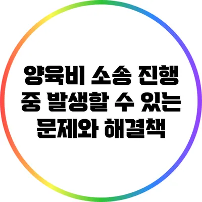 양육비 소송 진행 중 발생할 수 있는 문제와 해결책