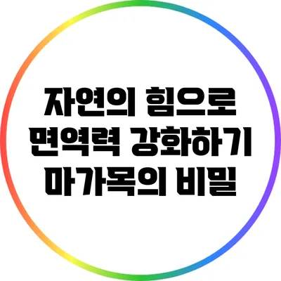 자연의 힘으로 면역력 강화하기: 마가목의 비밀