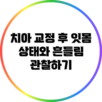 치아 교정 후 잇몸 상태와 흔들림 관찰하기