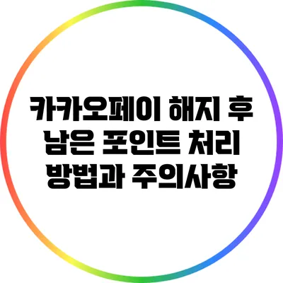카카오페이 해지 후 남은 포인트 처리 방법과 주의사항