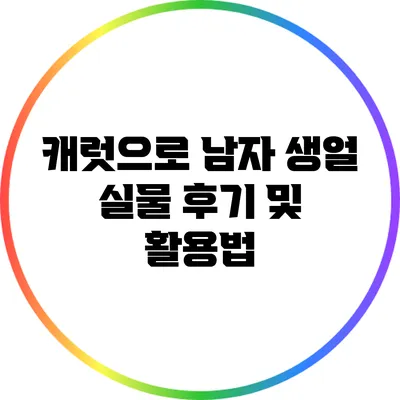 캐럿으로 남자 생얼 실물 후기 및 활용법