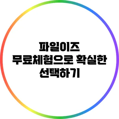 파일이즈 무료체험으로 확실한 선택하기