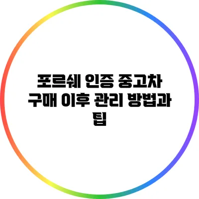 포르쉐 인증 중고차 구매 이후 관리 방법과 팁