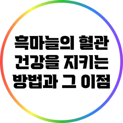 흑마늘의 혈관 건강을 지키는 방법과 그 이점