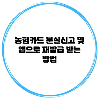 농협카드 분실신고 및 앱으로 재발급 받는 방법