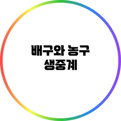 배구와 농구 생중계