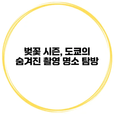 벚꽃 시즌, 도쿄의 숨겨진 촬영 명소 탐방