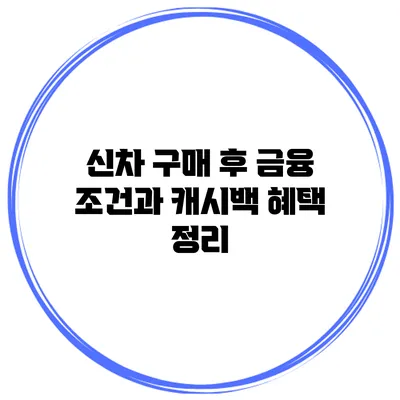 신차 구매 후 금융 조건과 캐시백 혜택 정리