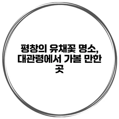 평창의 유채꽃 명소, 대관령에서 가볼 만한 곳